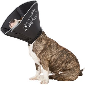 All Four Paws Comfy Cone E-Collar for Dogs & Cats, Black, Large
