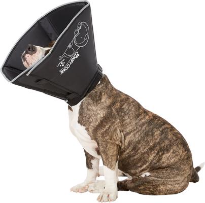 Show full view: All Four Paws Comfy Cone E-Collar for Dogs & Cats, Black, Large slide 3 of 11