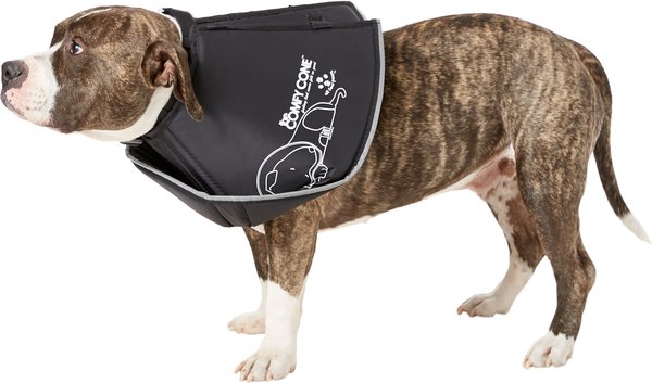 Show full view: All Four Paws Comfy Cone E-Collar for Dogs & Cats, Black, Large slide 3 of 10