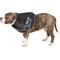 Show in main carousel: All Four Paws Comfy Cone E-Collar for Dogs & Cats, Black, Large slide 4 of 11