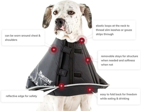 Show full view: All Four Paws Comfy Cone E-Collar for Dogs & Cats, Black, Large slide 6 of 10