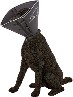 Purina Beyond Simply Salmon & Whole Brown Rice Recipe Dry Cat Food