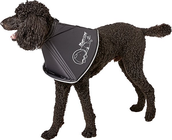 Show full view: All Four Paws Comfy Cone E-Collar for Dogs & Cats, Black, Medium-Extra Long slide 3 of 10