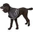 Show in main carousel: All Four Paws Comfy Cone E-Collar for Dogs & Cats, Black, Medium-Extra Long slide 3 of 10