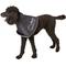 Show in main carousel: All Four Paws Comfy Cone E-Collar for Dogs & Cats, Black, Medium-Extra Long slide 4 of 11