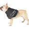 Show in main carousel: All Four Paws Comfy Cone E-Collar for Dogs & Cats, Black, Medium slide 4 of 11