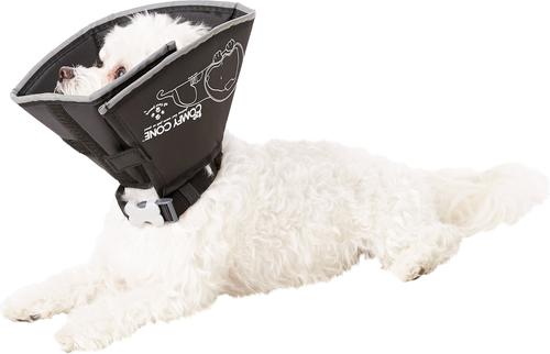 Show full view: All Four Paws Comfy Cone E-Collar for Dogs & Cats, Black, Small slide 3 of 13