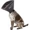 Show in main carousel: All Four Paws Comfy Cone E-Collar for Dogs & Cats, Black, X-Large slide 3 of 11
