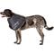 Show in main carousel: All Four Paws Comfy Cone E-Collar for Dogs & Cats, Black, X-Large slide 4 of 11