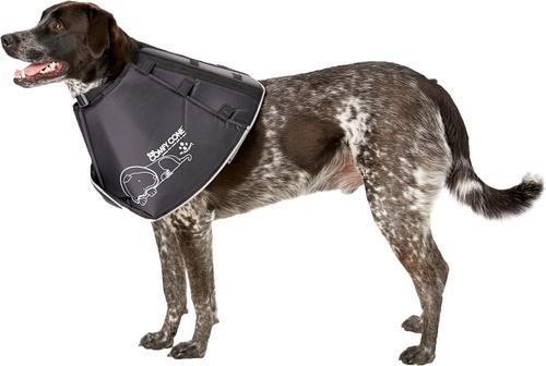 Show full view: All Four Paws Comfy Cone E-Collar for Dogs & Cats, Black, X-Large slide 4 of 11