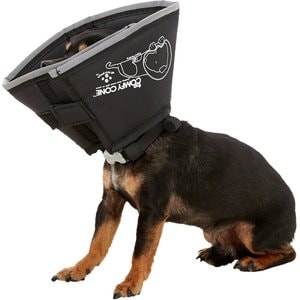 All Four Paws Comfy Cone E-Collar for Dogs & Cats, Black, X-Small