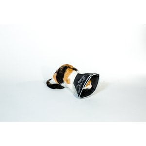 All Four Paws Comfy Cone E-Collar for Dogs & Cats, Black, X-Small