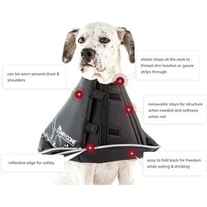 All Four Paws Comfy Cone E-Collar for Dogs & Cats, Black, X-Small