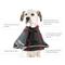 Show in main carousel: All Four Paws Comfy Cone E-Collar for Dogs & Cats, Black, X-Small slide 8 of 13