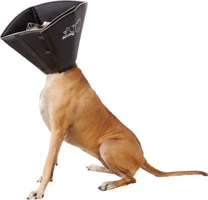 Show full view: All Four Paws Comfy Cone E-Collar for Dogs & Cats, Black, XX-Large slide 3 of 10