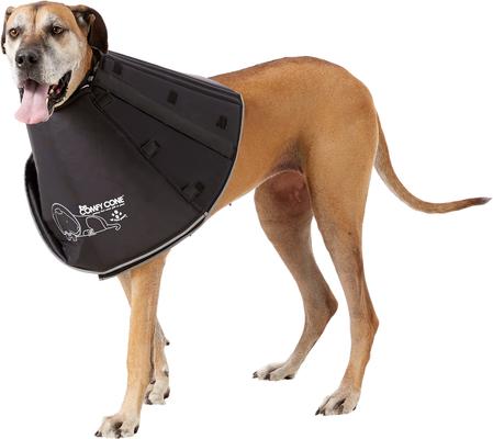 Show full view: All Four Paws Comfy Cone E-Collar for Dogs & Cats, Black, XX-Large slide 4 of 10