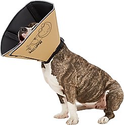 All Four Paws Comfy Cone E-Collar for Dogs & Cats, Tan, Large slide 2 of 6
