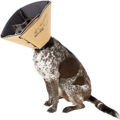 All Four Paws Comfy Cone E-Collar for Dogs & Cats, Tan, X-Large slide 2 of 6