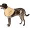 Show in main carousel: All Four Paws Comfy Cone E-Collar for Dogs & Cats, Tan, X-Large slide 4 of 9