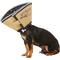 Show in main carousel: All Four Paws Comfy Cone E-Collar for Dogs & Cats, Tan, X-Small slide 3 of 10