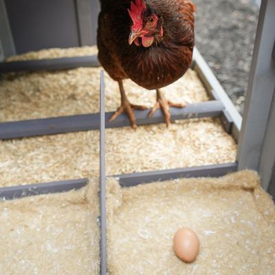 Show full view: All Walks Hemp Chicken Nesting Mats, 6 count slide 3 of 3