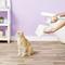 Show in main carousel: Allerpet Cat Dander Remover, 12-fl oz bottle slide 4 of 7