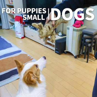 Show full view: allforpaws Classic Brown Rabbit Plush Dog Toy, Brown, Large slide 6 of 9