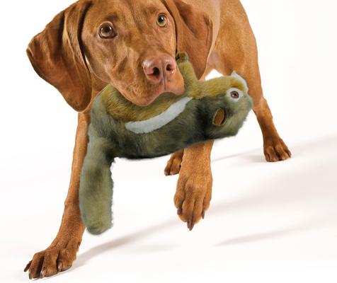 Show full view: allforpaws Classic Chipmunk Plush Dog Toy, Dark Gray, Large slide 9 of 9