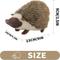 Show in main carousel: allforpaws Classic Hedgehog Squeaky Plush Dog Toy, Brown, Large slide 6 of 9