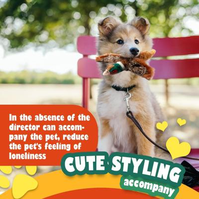 Show full view: allforpaws Classic Pheasant Plush Dog Toy, Brown, Large slide 4 of 10