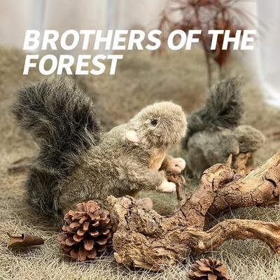 Show full view: allforpaws Classic Squirrel Squeaky Plush Dog Toy, Dark Gray, Large slide 2 of 9