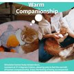 Show in main carousel: allforpaws Dog Toy Heat Pack Refill, 12 count slide 4 of 9