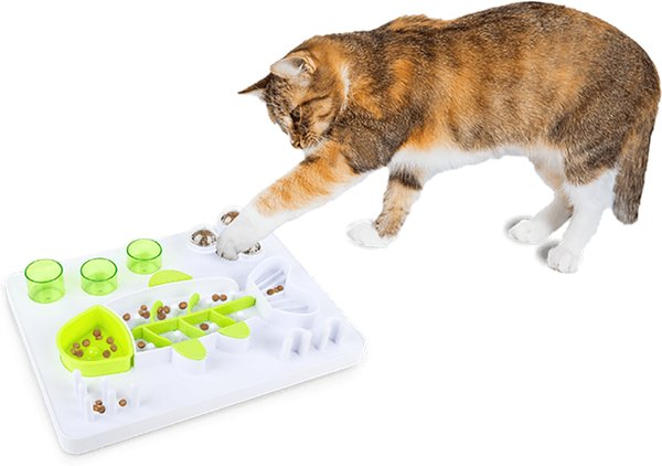 allforpaws Interactives Enjoy The Fish Treat Dispensing Cat Puzzle Toy, Green