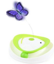 allforpaws Interactives Roll Around Flutter Bug Cat Motion Toy, Green slide 2 of 9