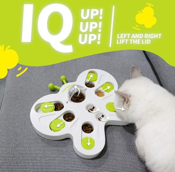 allforpaws Interactives Treat Puzzle Butterfly Cat Puzzle Toy, Green
