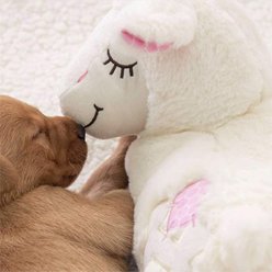 allforpaws Little Buddy Heart Beat Sheep Plush Dog Toy, White slide 2 of 9