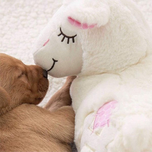 allforpaws Little Buddy Heart Beat Sheep Plush Dog Toy, White