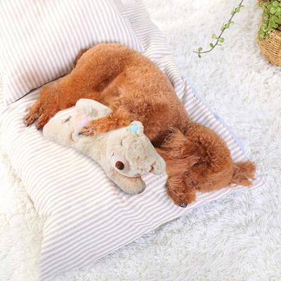 Show full view: allforpaws Little Buddy Warm Bear Plush Dog Toy, Beige slide 8 of 10
