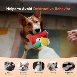 allforpaws Mouth Massager Parrot Plush Dog Toy slide 2 of 7