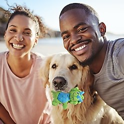 allforpaws My T-Rex Thomas The Mini Triceratops Plush Squeaky Dog Toy, Green, Small slide 2 of 9