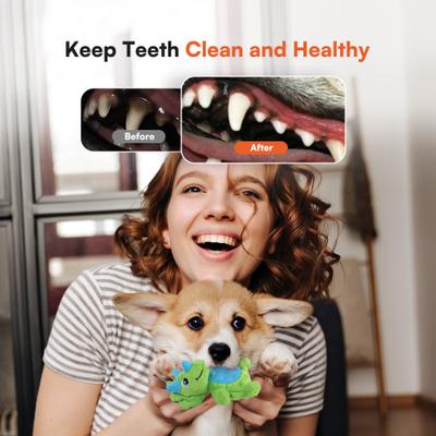 Show full view: allforpaws My T-Rex Thomas The Mini Triceratops Plush Squeaky Dog Toy, Green, Small slide 3 of 9