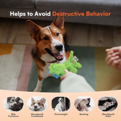 Show full view: allforpaws My T-Rex Thomas The Mini Triceratops Plush Squeaky Dog Toy, Green, Small slide 4 of 9