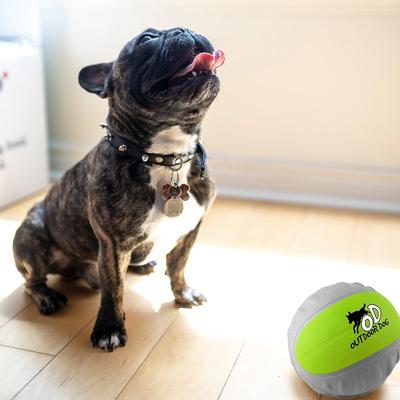 Show full view: allforpaws Outdoor Durafoam Basketball Dog Toy, Green slide 4 of 7