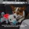 Show in main carousel: allforpaws Pups Heartbeat 'N' Warm Pacifier Buddy Plush Dog Toy, White slide 2 of 9