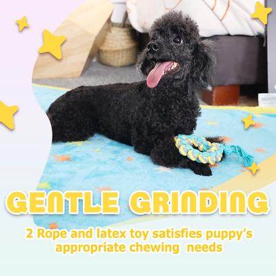 Show full view: allforpaws Pups New Puppy Starter Kit Plush Dog Toy slide 7 of 10