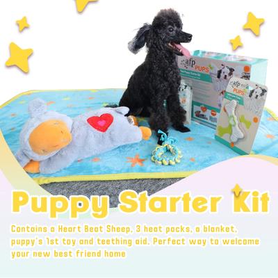 Show full view: allforpaws Pups New Puppy Starter Kit Plush Dog Toy slide 4 of 10