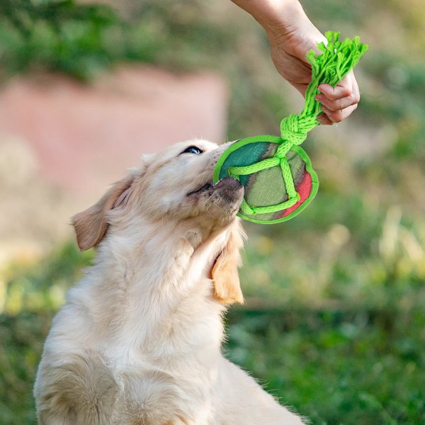 Show full view: allforpaws Rope Tangle Disc Dog Rope Tug Toy, Green slide 8 of 9
