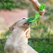 Show in main carousel: allforpaws Rope Tangle Disc Dog Rope Tug Toy, Green slide 8 of 9