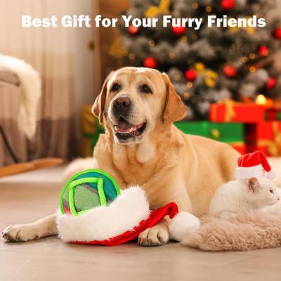 Show full view: allforpaws Rope Tangle Disc Dog Rope Tug Toy, Green slide 7 of 9