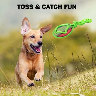 Show full view: allforpaws Rope Tangle Disc Dog Rope Tug Toy, Green slide 6 of 9